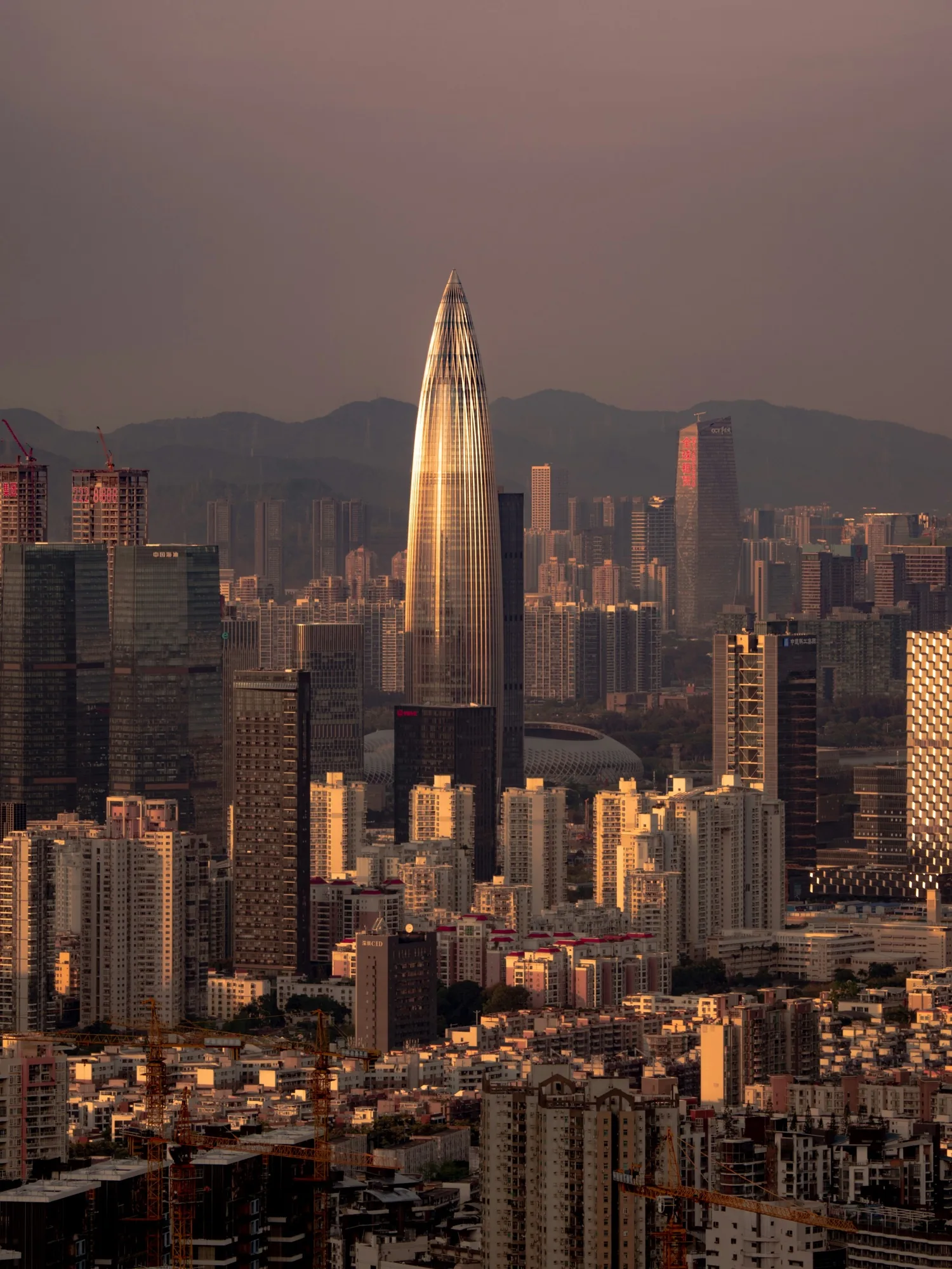 Shenzhen's dense city center at dusk, with China Resources Tower catching the last light.